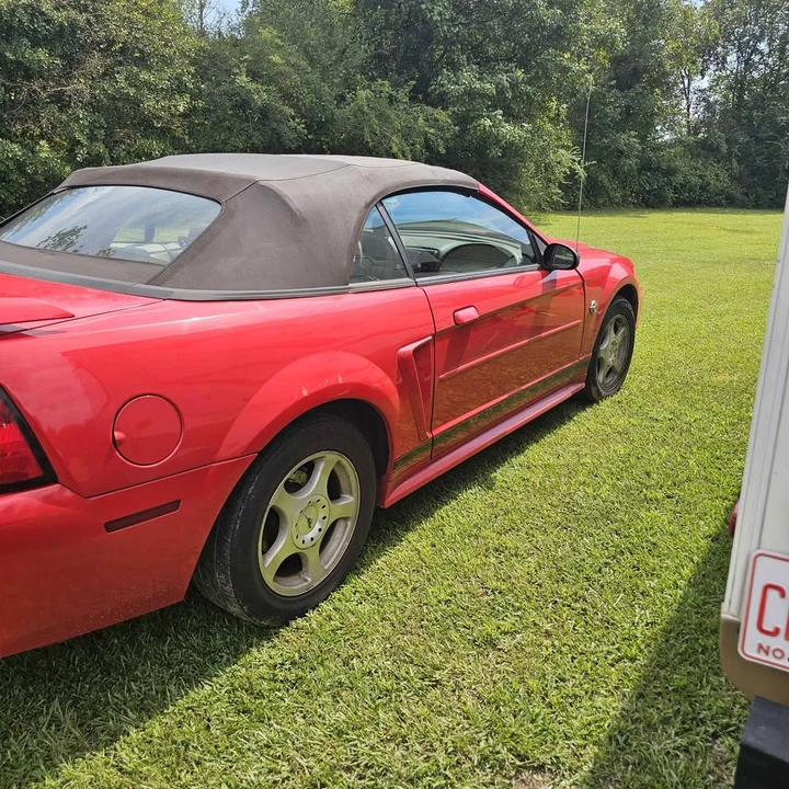 2004 Ford SN95 Mustang - Image 4 of 9