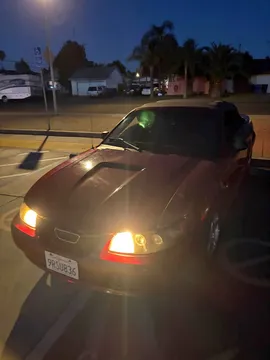 2004 Ford Mustang V6 Convertible 2D