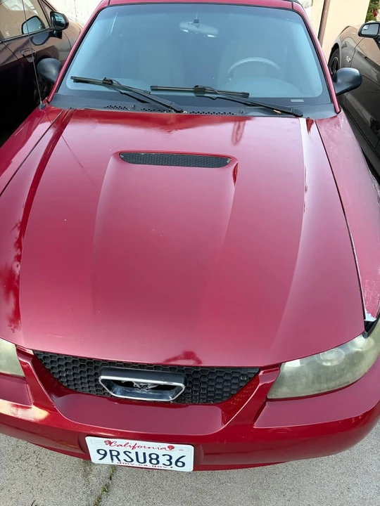 2004 Ford SN95 Mustang - Image 3 of 18