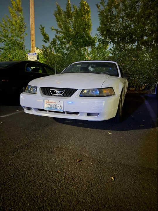2004 Ford SN95 Mustang - Image 2 of 6