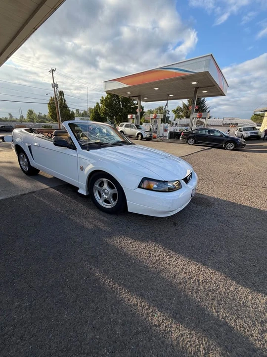 2004 Ford SN95 Mustang - Image 5 of 6