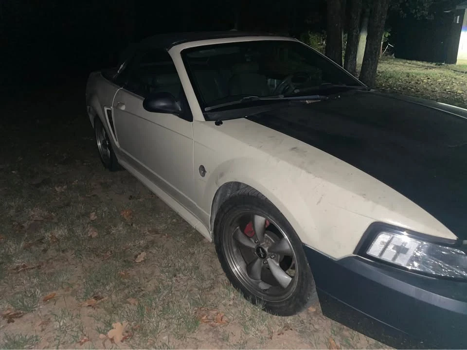 2004 Ford SN95 Mustang - Image 3 of 8
