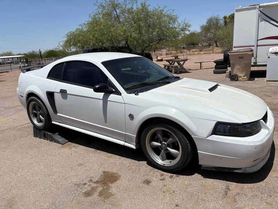 2004 Ford SN95 Mustang - Image 3 of 6