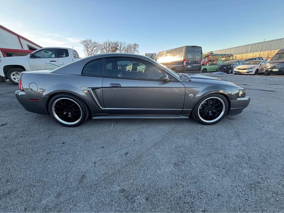 2004 Ford SN95 Mustang - Image 7 of 13