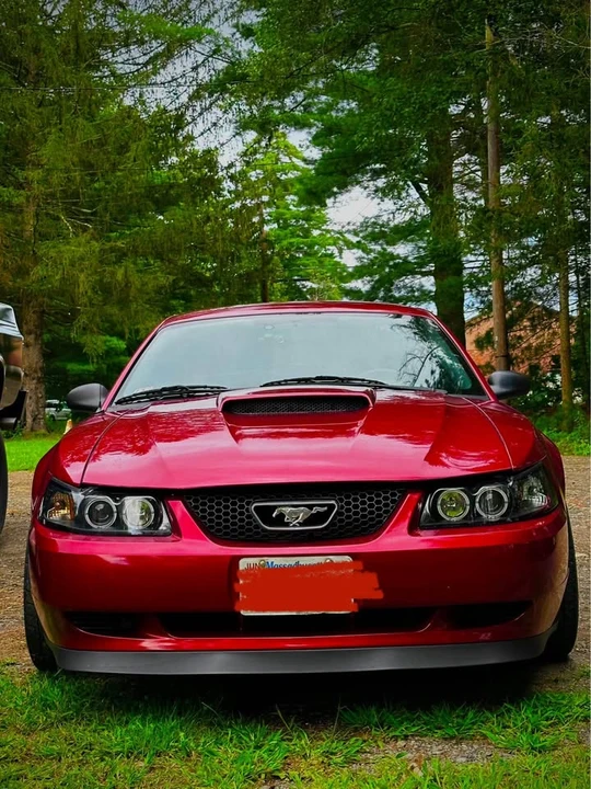 2004 Ford SN95 Mustang - Image 6 of 13
