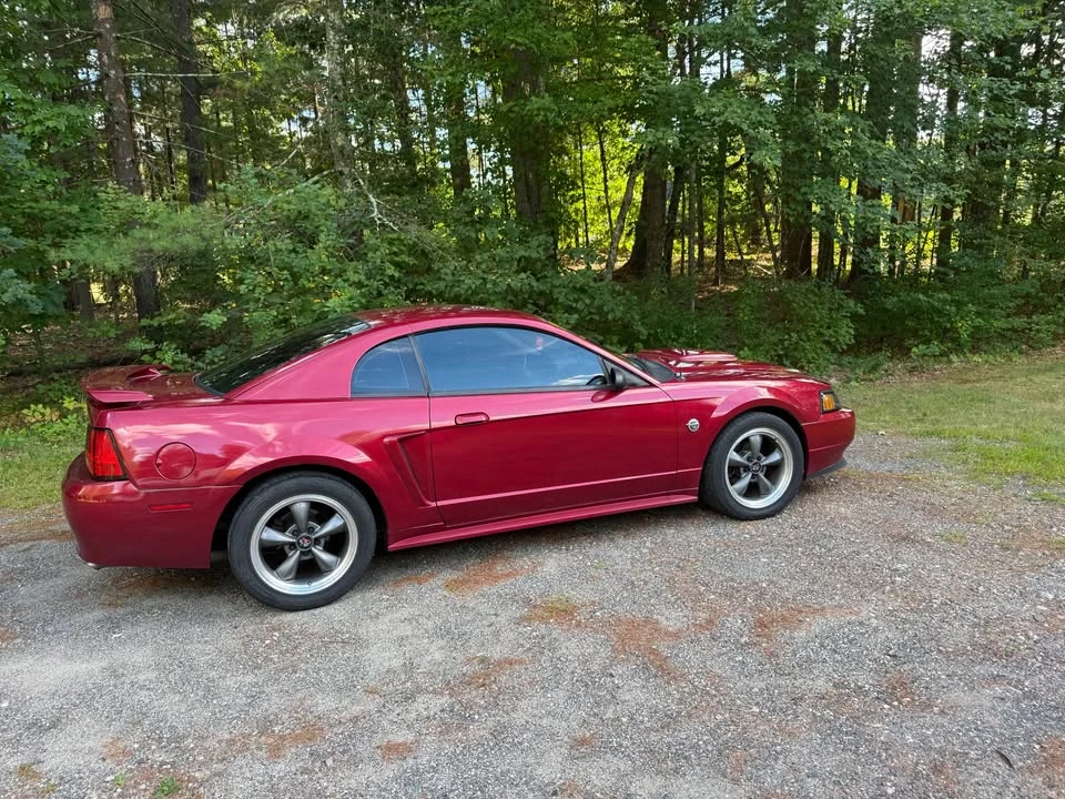 2004 Ford SN95 Mustang - Image 5 of 13