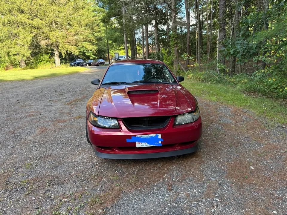 2004 Ford SN95 Mustang - Image 4 of 13