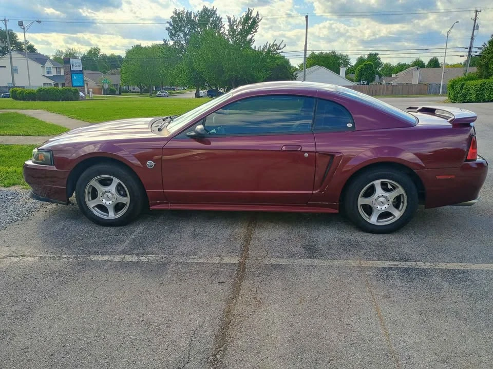 2004 Ford SN95 Mustang - Image 8 of 10