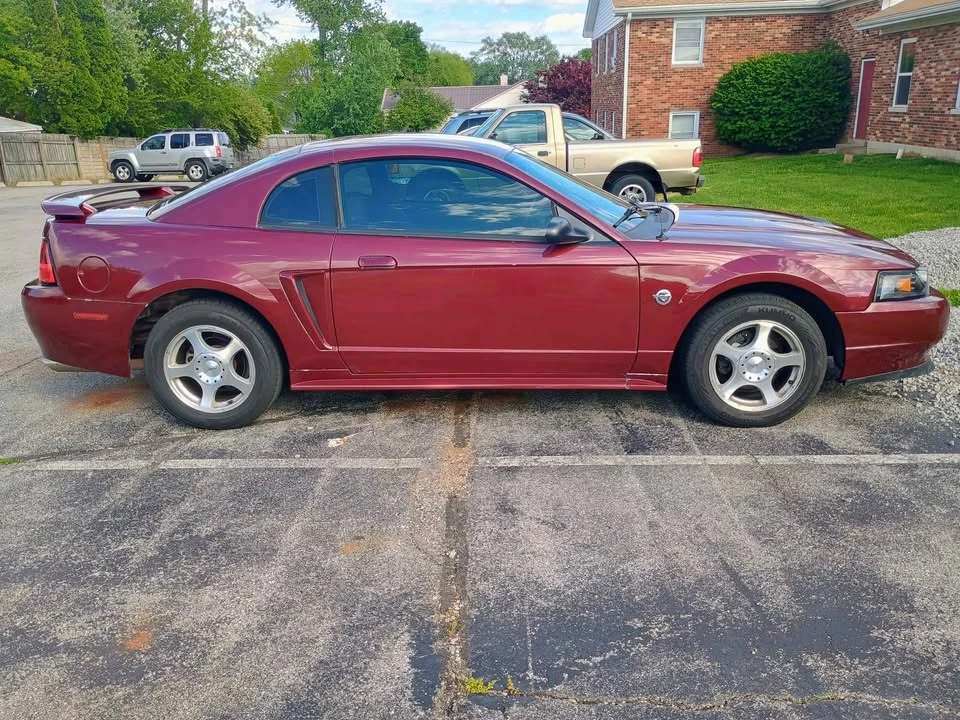 2004 Ford SN95 Mustang - Image 4 of 10