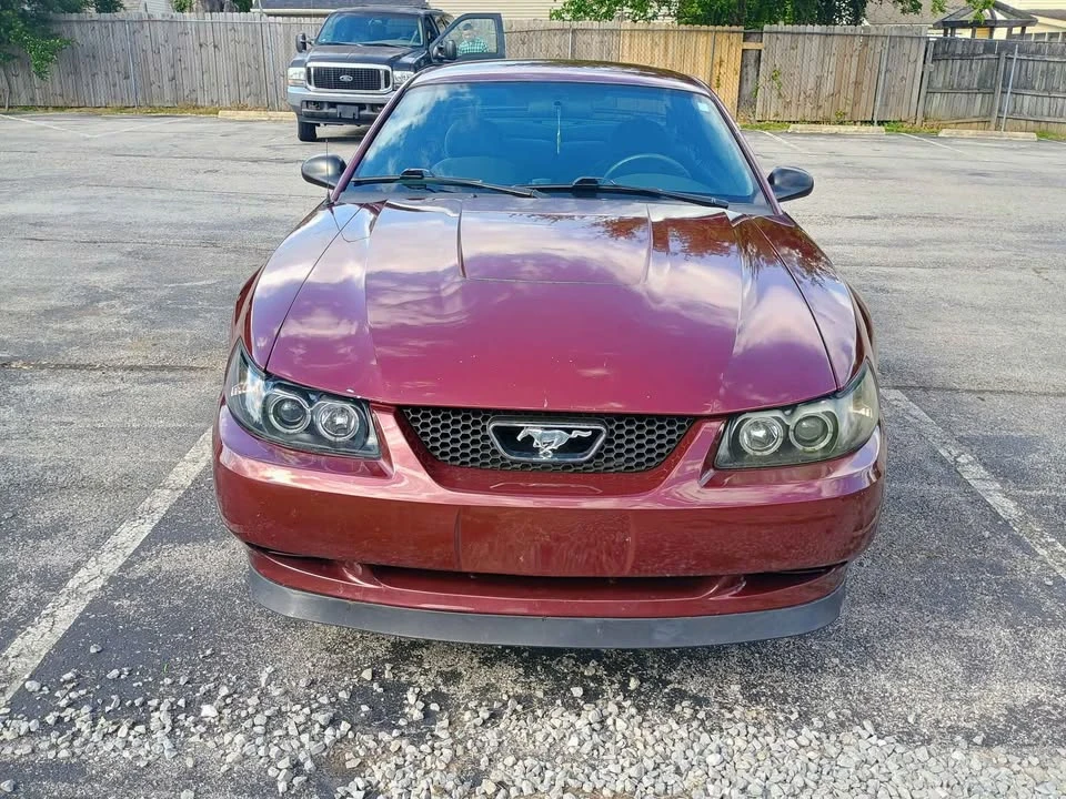 2004 Ford SN95 Mustang - Image 2 of 10