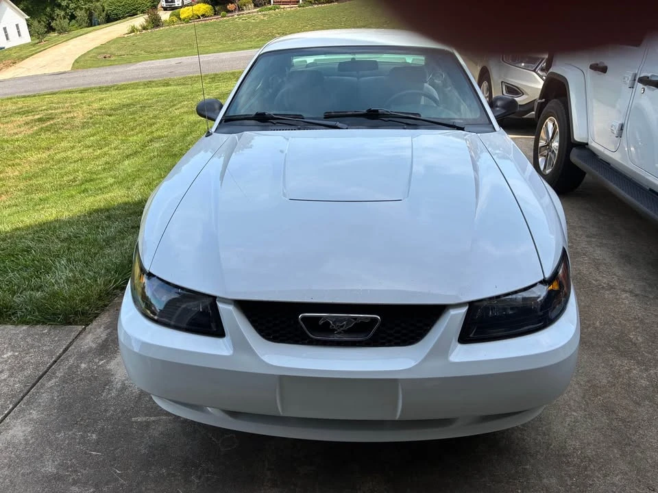 2004 Ford SN95 Mustang - Image 6 of 13