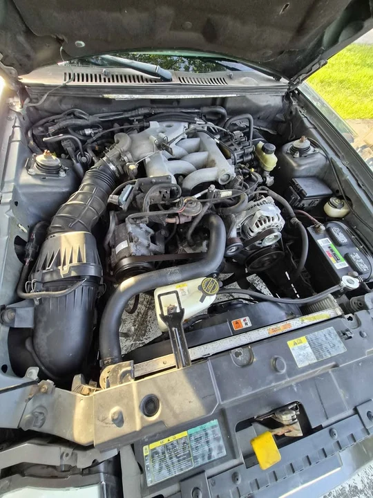 2004 Ford SN95 Mustang - Image 8 of 9
