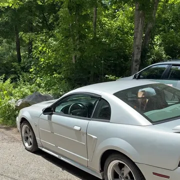 2004 Ford Mustang V6 Coupe