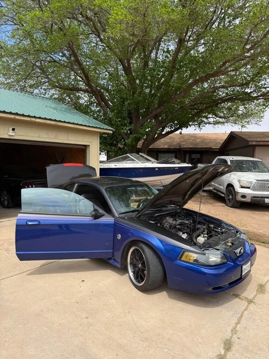2004 Ford SN95 Mustang - Image 14 of 15