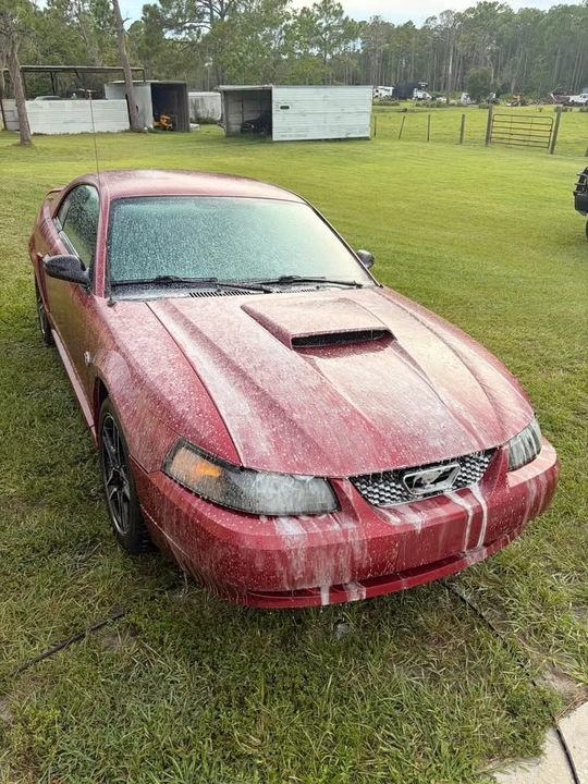 2004 Ford SN95 Mustang - Image 6 of 10