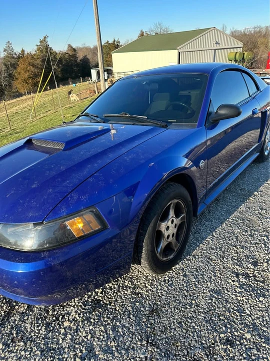 2004 Ford SN95 Mustang - Image 2 of 5