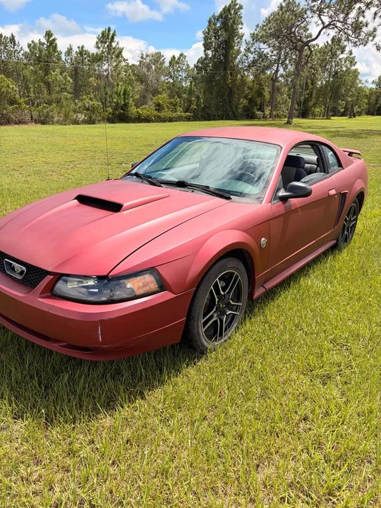 2004 Ford SN95 Mustang - Image 3 of 10