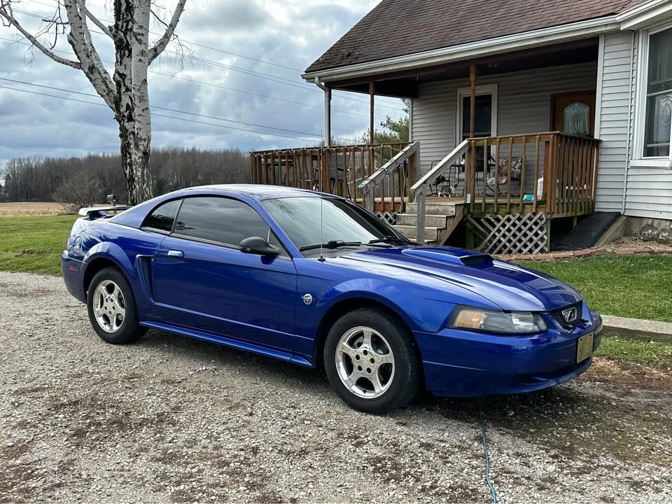 2004 Ford SN95 Mustang - Image 3 of 5