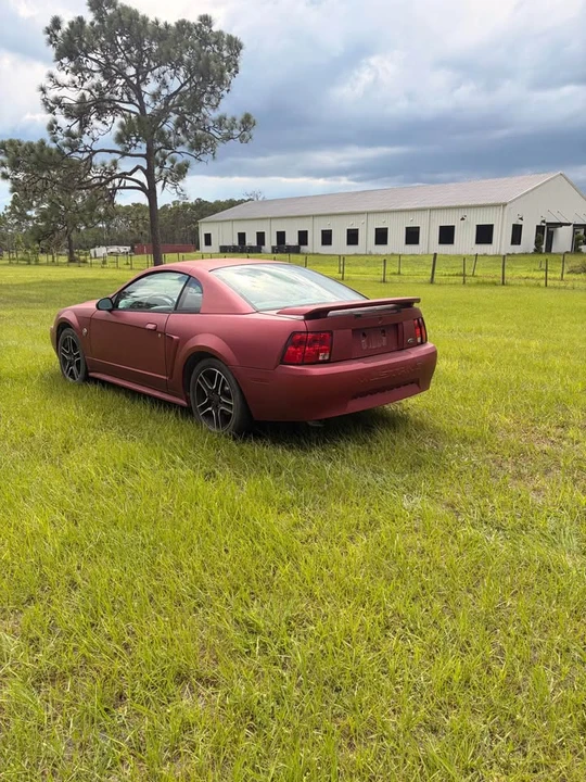 2004 Ford SN95 Mustang - Image 4 of 10