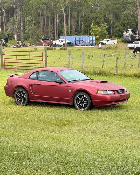 2004 Ford SN95 Mustang - Image 2 of 10