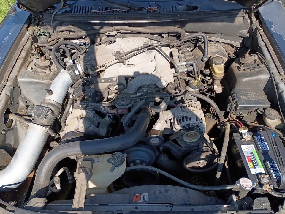2004 Ford SN95 Mustang - Image 7 of 10