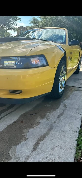 2004 Ford SN95 Mustang - Image 3 of 10