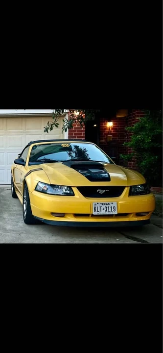 2004 Ford SN95 Mustang - Image 5 of 10