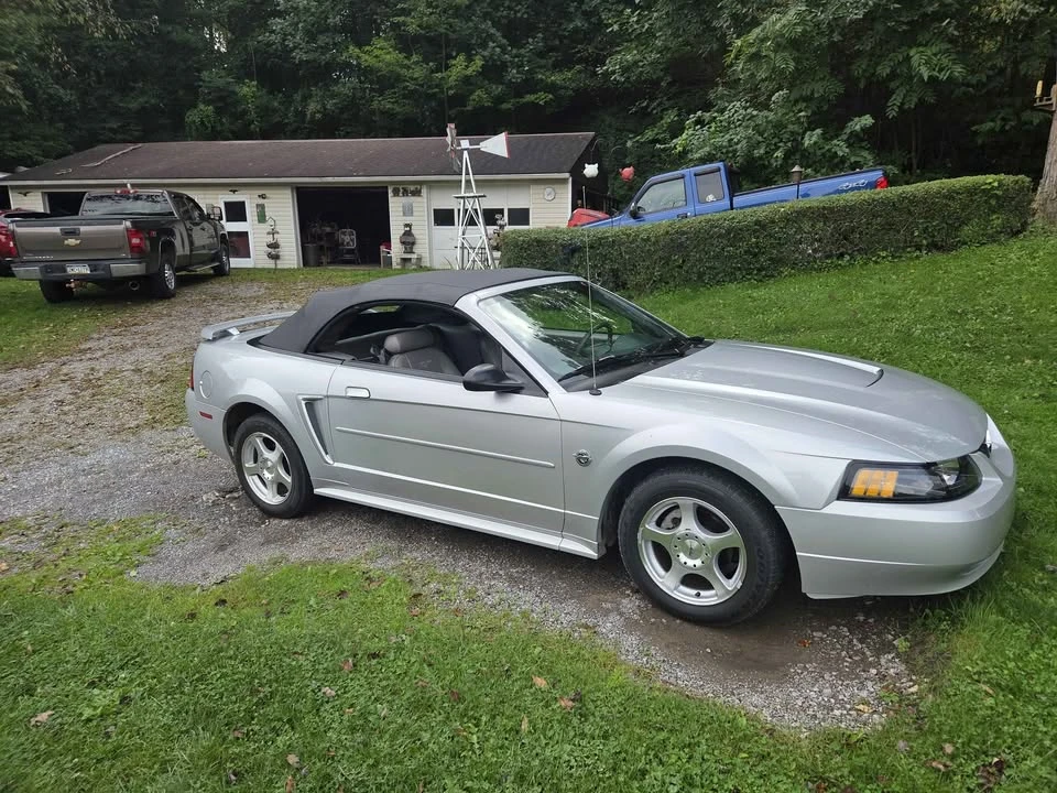 2004 Ford SN95 Mustang - Image 3 of 11