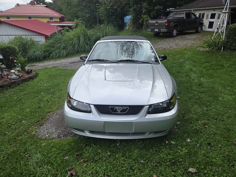 2004 Ford SN95 Mustang - Image 2 of 11
