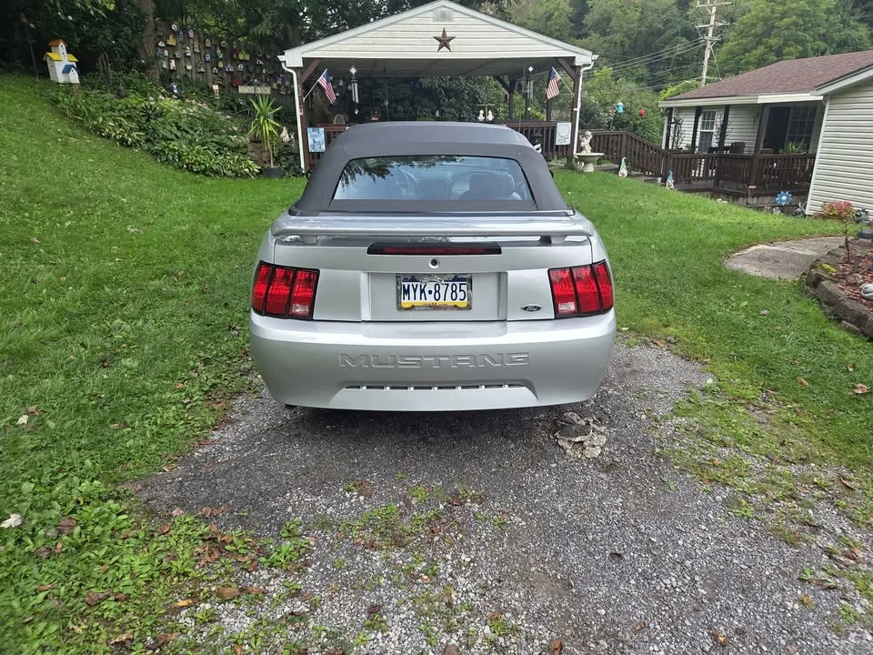 2004 Ford SN95 Mustang - Image 4 of 11