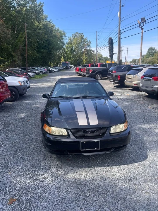 2004 Ford SN95 Mustang - Image 5 of 9