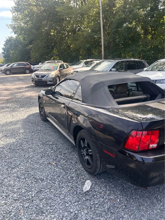 2004 Ford SN95 Mustang - Image 3 of 9