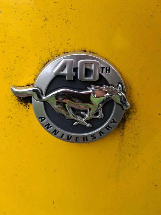 2004 Ford SN95 Mustang - Image 2 of 7