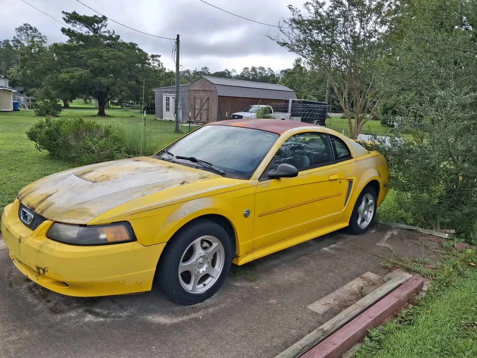 2004 Ford SN95 Mustang - Image 3 of 7