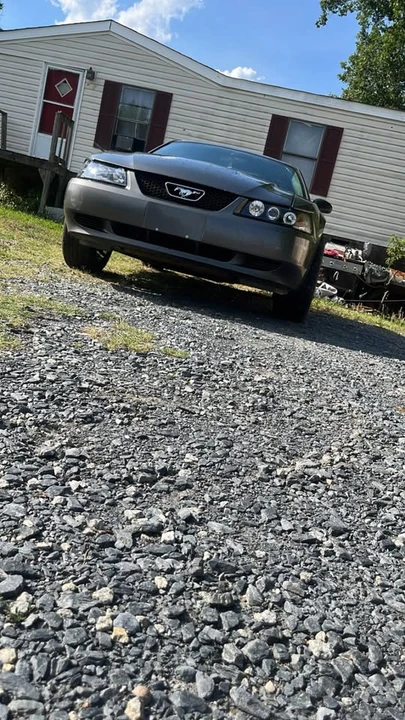 2004 Ford SN95 Mustang - Image 5 of 8