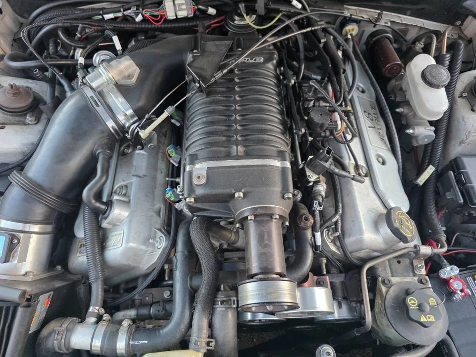 2004 Ford SN95 Mustang - Image 11 of 12