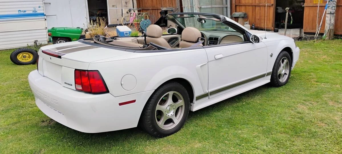 2004 Ford SN95 Mustang - Image 3 of 9