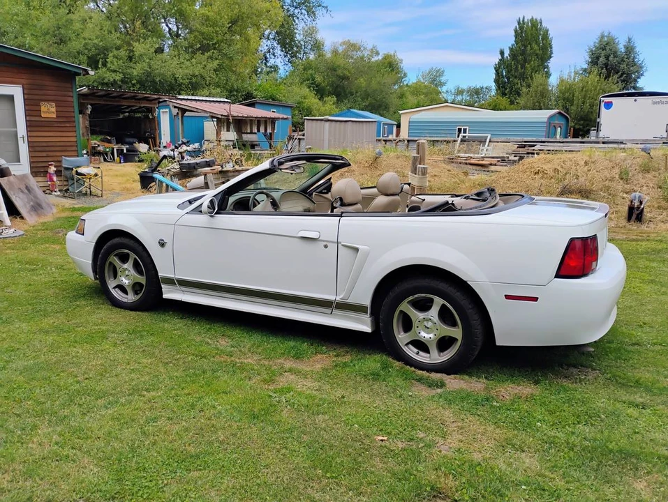 2004 Ford SN95 Mustang - Image 5 of 9
