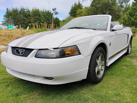 2004 Ford Mustang V6