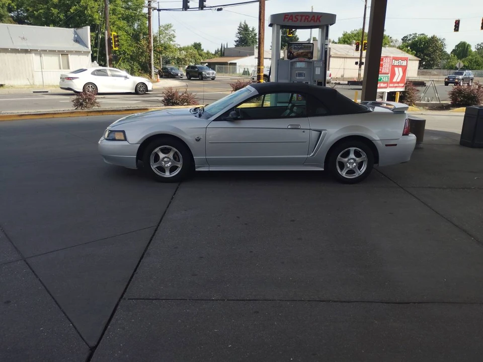 2004 Ford SN95 Mustang - Image 5 of 10