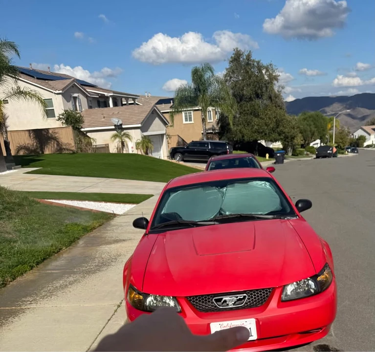 2004 Ford SN95 Mustang - Image 2 of 10