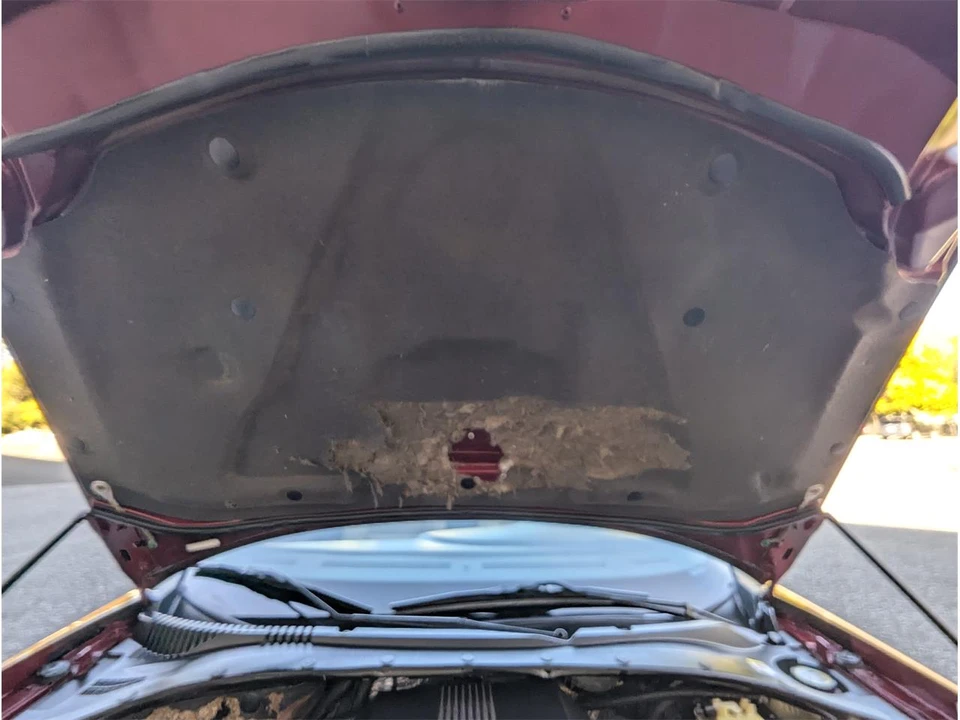2004 Ford Thunderbird 11th Gen - Image 22 of 31