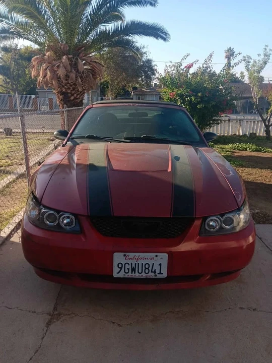 2004 Ford SN95 Mustang - Image 3 of 5