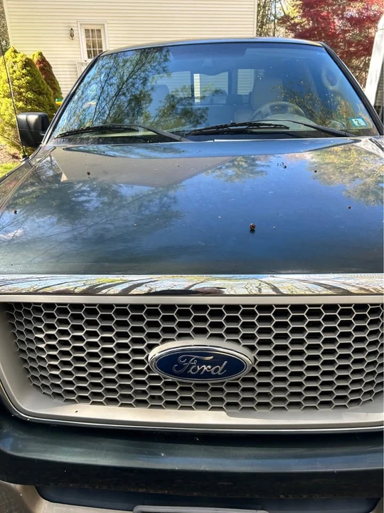 2004 Ford F-150 11th Gen - Image 8 of 14