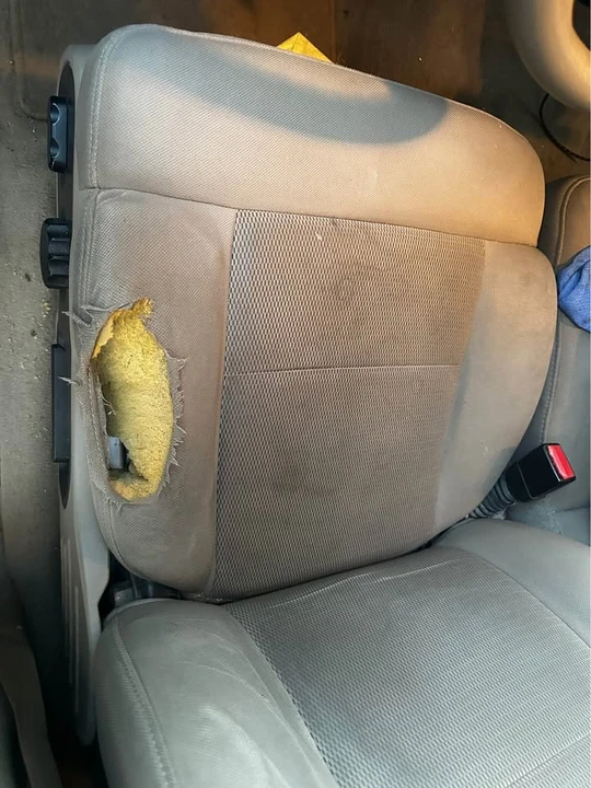 2004 Ford F-150 11th Gen - Image 7 of 9