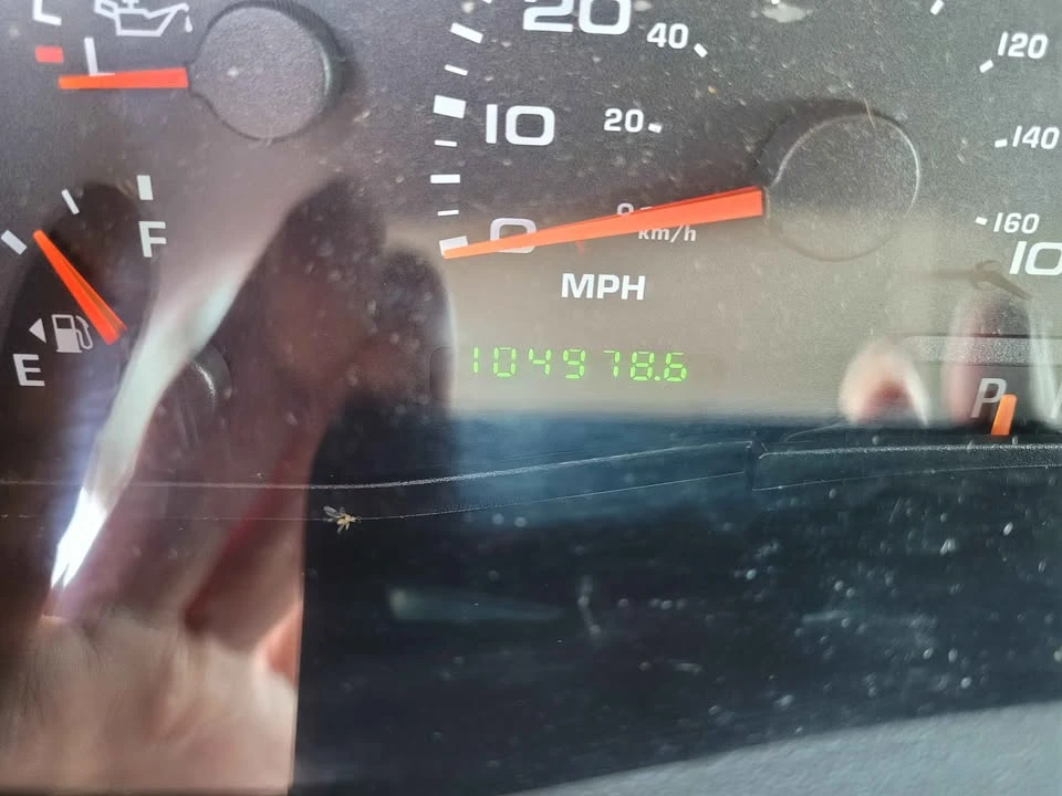 2004 Ford Super Duty 1st Gen - Image 5 of 10