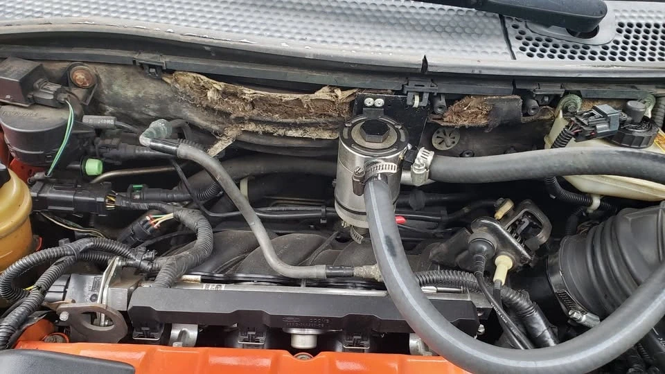 2004 Ford Focus 1st Gen - Image 17 of 18