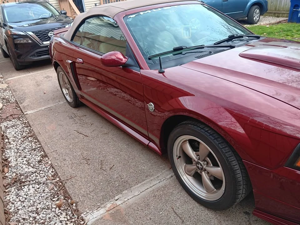 2004 Ford GT 1st Gen - Image 2 of 4