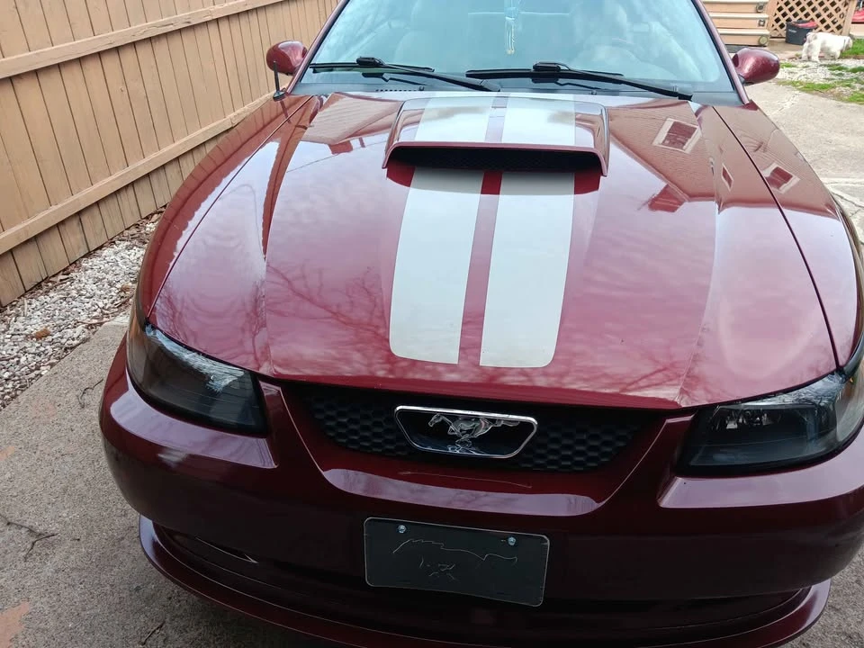 2004 Ford GT 1st Gen - Image 3 of 4