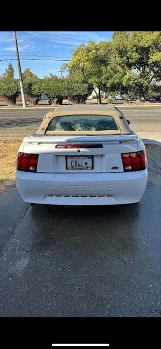 2004 Ford SN95 Mustang - Image 8 of 11